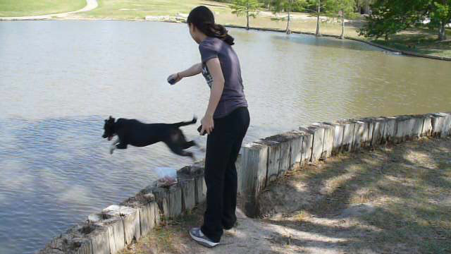 Jump to Fetch